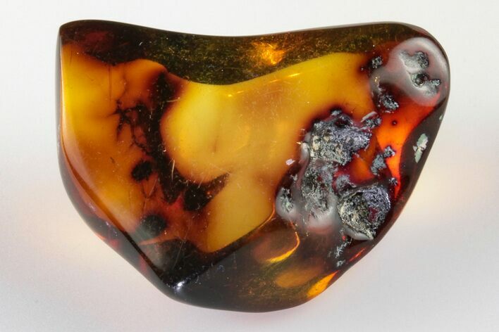 Polished Chiapas Amber ( g) - Mexico #193263
